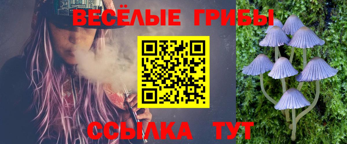 Похвистнево  Галлюциногенные грибы Psilocybe  купить   Вход с VPN 