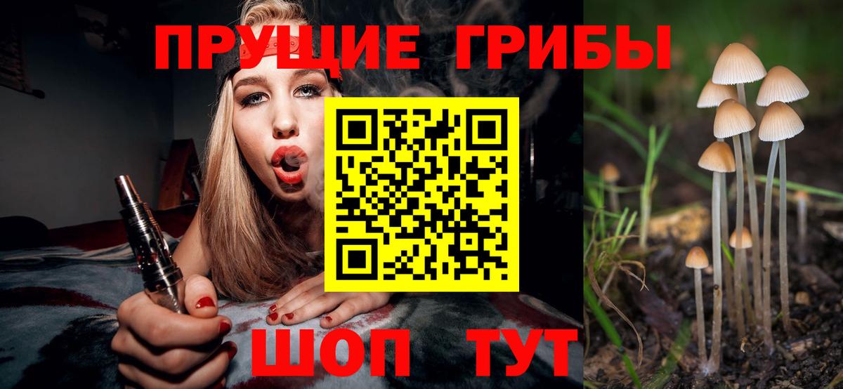 Псилоцибиновые грибы ЛСД Похвистнево